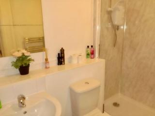 Apartment Sleeps 4 with Wifi - 5