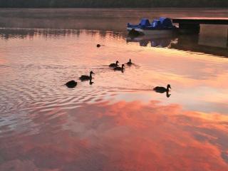 A wonderful holiday home with lake access - 4
