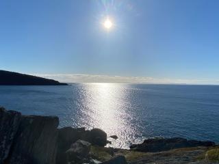 Mildreds Seaside - 4
