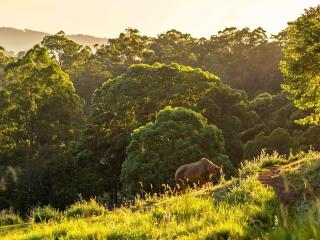 Guanaba Farm by Tiny Away - 7