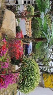 Hwasun The Holiday Pension - 8