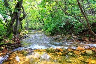 Inje Gallery And Pension Punggyeongsori - 8