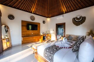 Miana Villa - 1