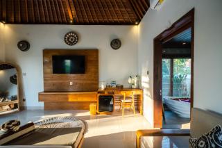Miana Villa - 9