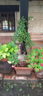 Beautiful country house 14 - 20 people with swimming pool - 5