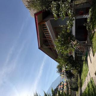 Orchard whisper cottage tirthan - Gushaini - 6