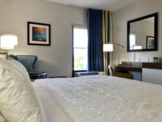 Hampton Inn by Hilton Spring Hill - 4