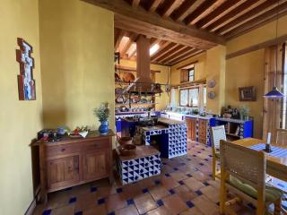 Spectacular Artist's Villa, Lake Pátzcuaro - 6