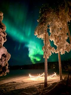 Blue Moment at the Arctic Circle- Forest, beach, activities - 9