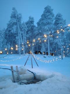 Blue Moment at the Arctic Circle- Forest, beach, activities - 6