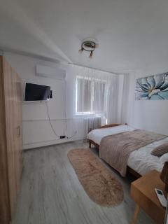 Metis Apartment Centru Palas Mall Iasi - 7