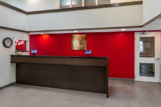 Comfort Inn Truro - 7