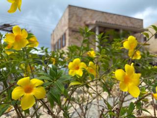 WAAP Hotel - 2