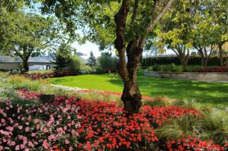 Radisson Blu Vancouver Airport Hotel & Marina - 8