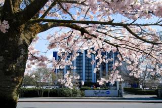 Radisson Blu Vancouver Airport Hotel & Marina - 7