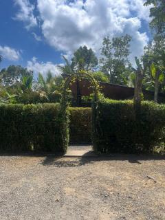 Daydream Lodge Tegallalang - 8