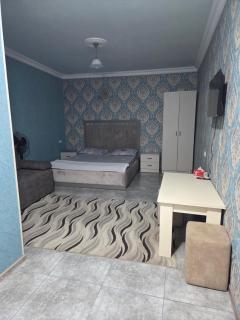 Galstyans Hotel EVN airport - 8