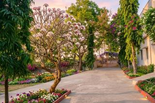Shangov Farms, Aliabad - 7