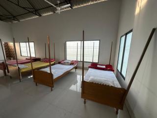 Jungle Eco Mansion - 6
