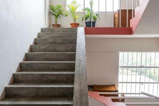 Pine Hills Homestay - 7