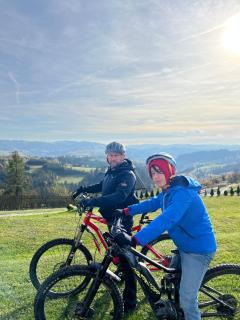 Willa Alpejska - jacuzzi i e-rowery w cenie przy min 2 nocach - 9