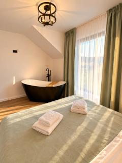 Cabana din Deal Rona - 2