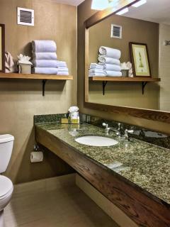 DoubleTree by Hilton Libertyville-Mundelein - 4