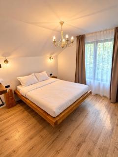 Cabana din Deal Rona - 6