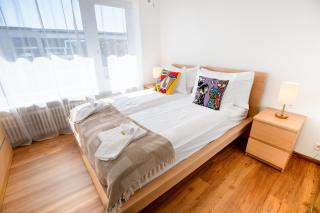 Urban Smart Living with balcony near Basel SBB & City Center - Special PICCO PICASSO 52 Apartment, up to 4 guests - 9