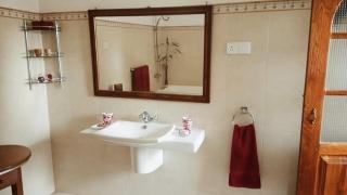 Tea Leaf Retreat - 6