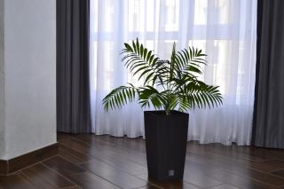 Modern Apart - 5