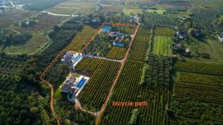 Aneli Luxury Villas - Villa Alexandra with Heated Pool - 8