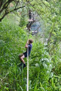Ella Treehouse - 6
