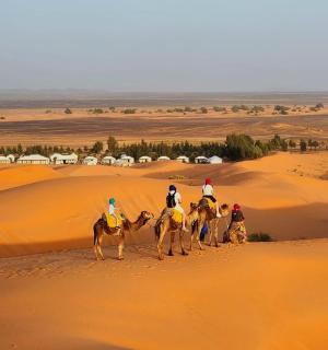 Sunshine luxury desert camp - 6