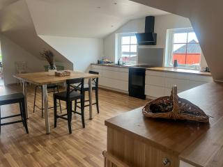 Bright and spacious apartment on horse farm - 4
