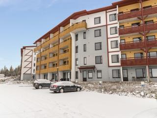 Apartment Ylläs chalets 2301 by Interhome - 9