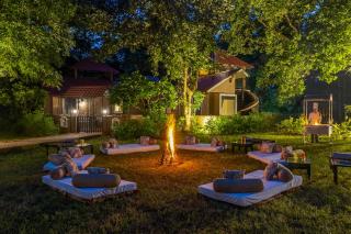 Sterling Bandhavgarh - 6