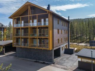 Apartment Tunturinlaita c 9 by Interhome - 9