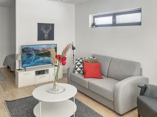 Apartment Ylälänsi 3 as 2 by Interhome - 4