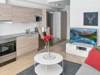 Apartment Ylälänsi 3 as 2 by Interhome - 5