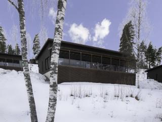 Holiday Home Villa koivu by Interhome - 4
