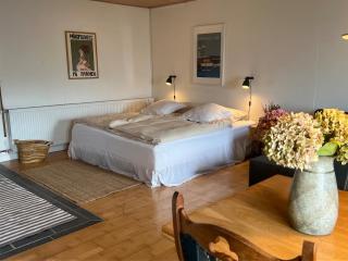 Gård lejlighed ved Middelfart - hest muligt - 1