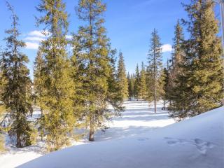 Holiday Home Nelikko a by Interhome - 7