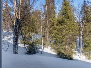 Holiday Home Nelikko a by Interhome - 8