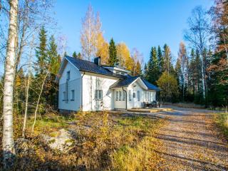 Holiday Home Hovimäki by Interhome - 1