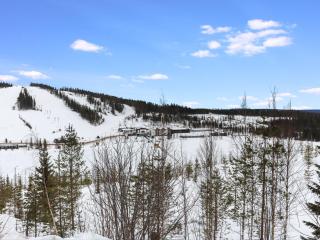 Holiday Home Alppikylä 4b by Interhome - 8