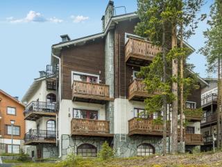 Apartment Levin otava 8 by Interhome - 0
