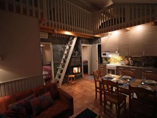 Apartment Tunturikoivu b1 by Interhome - 1