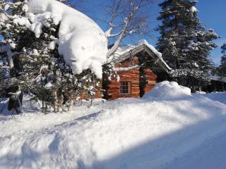 Holiday Home Kiilopalkinen by Interhome - 9