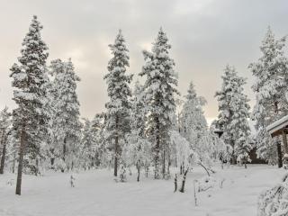 Holiday Home Ressipysäkki 1 by Interhome - 8